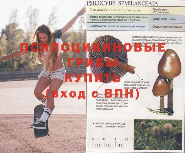кокаин Медногорск