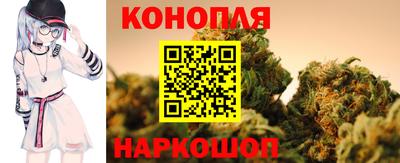 СК Рыбинск