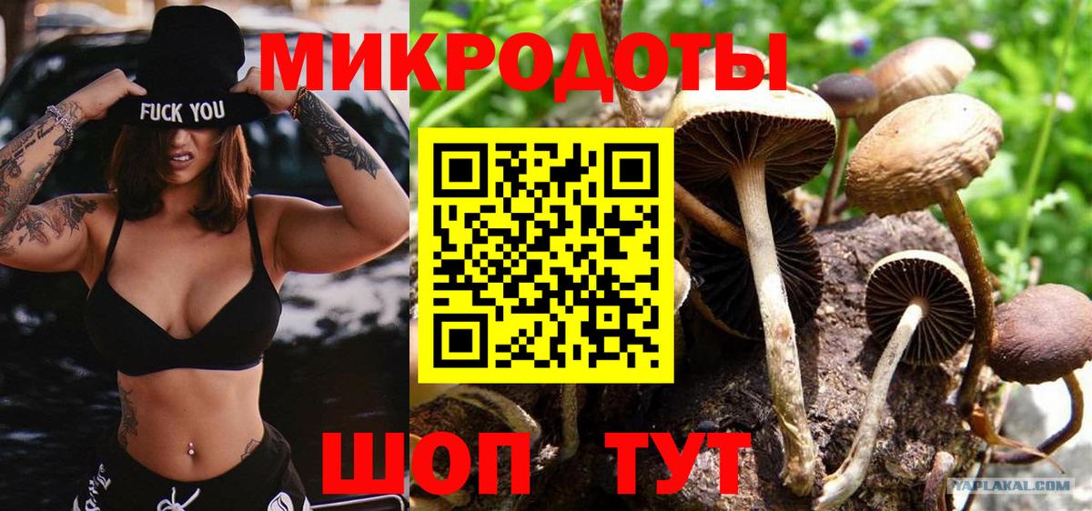 Псилоцибиновые грибы прущие грибы Смоленск
