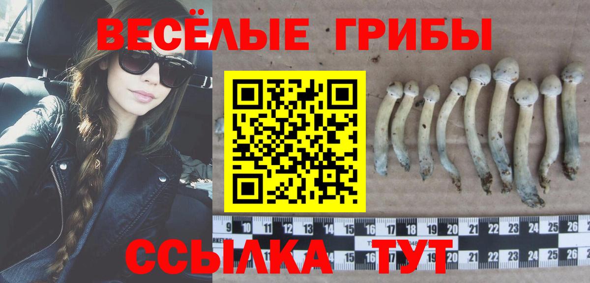 Псилоцибиновые грибы Cubensis  Вход с VPN  Смоленск 